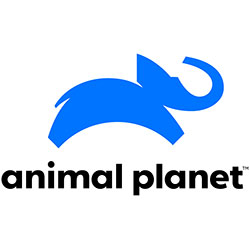 animal-planet-1-1