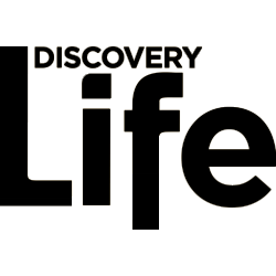 discovery-life